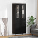Bufet Pe perete Stejar Negru 69,5 x 34 x 180 cm Lemn compozit - WALTI WALTI