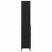 Bufet Pe perete cu sertar 2 pcs Stejar Negru Lemn compozit - WALTI WALTI