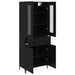 Bufet Pe perete Stejar Negru 69,5 x 34 x 180 cm Lemn compozit - WALTI WALTI