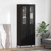Bufet Pe perete Stejar Negru 69,5 x 34 x 180 cm Lemn compozit - WALTI WALTI
