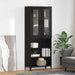 Bufet Pe perete Stejar Negru 69,5 x 34 x 180 cm Lemn compozit - WALTI WALTI