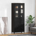 Bufet Pe perete Stejar Negru 69,5 x 34 x 180 cm Lemn compozit - WALTI WALTI
