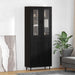 Bufet Pe perete Stejar Negru 69,5 x 34 x 180 cm Lemn compozit - WALTI WALTI