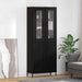 Bufet Pe perete Stejar Negru 69,5 x 34 x 180 cm Lemn compozit - WALTI WALTI
