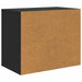 Casa pentru pisici Negru 51 x 30 x 42,5 cm Lemn compozit - WALTI WALTI