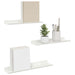 Raft de perete cu raft Pe perete 3 pcs Alb 40 x 9 x 2,5 cm - WALTI WALTI