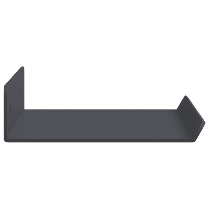 Raft de perete cu raft Pe perete 2 pcs Antracit 30 x 9 x 2,5 cm - WALTI WALTI