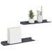 Raft de perete cu raft Pe perete 2 pcs Antracit 40 x 9 x 2,5 cm - WALTI WALTI
