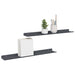 Raft de perete cu raft Pe perete 2 pcs Antracit 60 x 9 x 2,5 cm - WALTI WALTI