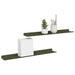 Raft de perete cu raft 2 pcs Verde măsliniu 60 x 9 x 2,5 cm - WALTI WALTI