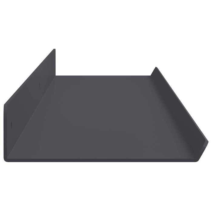 Raft de perete cu raft 2 pcs Antracit 100 x 9 x 2,5 cm - WALTI WALTI