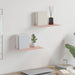 Raft de perete cu raft Pe perete 2 pcs Roz 30 x 18 x 2,5 cm - WALTI WALTI