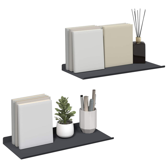 Raft de perete cu raft 2 pcs Antracit 40 x 18 x 2,5 cm - WALTI WALTI