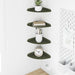 Raft suspendat cu raft 4 pcs Verde măsliniu 18 x 18 x 2 cm - WALTI WALTI