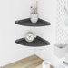 Raft suspendat cu raft 2 pcs Antracit 24 x 24 x 2 cm - WALTI WALTI