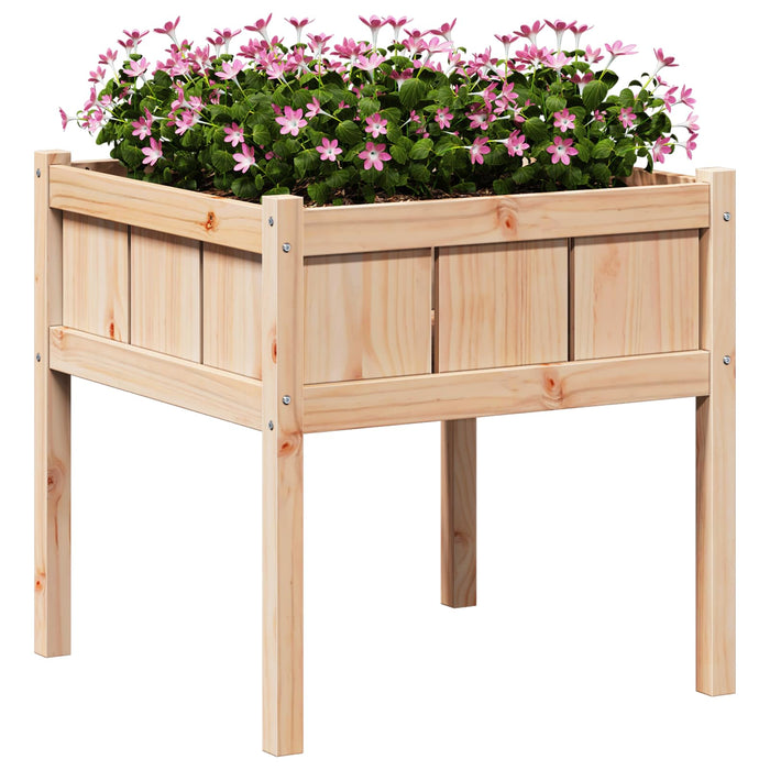 Vază pentru Grădină Natură 70 x 70 x 70 cm Lemn de pin masiv - WALTI WALTI