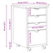 Cabinet mobil cu roata Negru 34 x 39 x 56 cm Lemn de pin masiv - WALTI WALTI