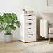 Dulap Alb 34 x 39 x 61,5 cm Lemn de pin masiv - WALTI WALTI