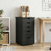 Dulap Gri 34 x 39 x 61,5 cm Lemn de pin masiv - WALTI WALTI