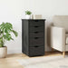 Dulap Gri 34 x 39 x 61,5 cm Lemn de pin masiv - WALTI WALTI