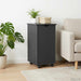 Cabinet mobil cu roata Gri 34 x 39 x 65,5 cm Lemn de pin masiv - WALTI WALTI