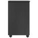 Cabinet mobil cu roata Gri 34 x 39 x 65,5 cm Lemn de pin masiv - WALTI WALTI