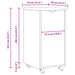 Cabinet mobil cu roata Gri 34 x 39 x 65,5 cm Lemn de pin masiv - WALTI WALTI