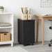 Cabinet mobil Negru 34 x 39 x 65,5 cm Lemn de pin masiv - WALTI WALTI