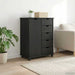Cabinet mobil cu roata Gri 63,5 x 39 x 79 cm Lemn de pin masiv - WALTI WALTI