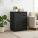 Cabinet mobil Negru 63,5 x 39 x 79 cm Lemn de pin masiv - WALTI WALTI