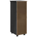 Cabinet mobil Negru 34 x 39 x 93,5 cm Lemn de pin masiv - WALTI WALTI