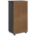 Cabinet mobil cu roata Gri 53 x 39 x 103 cm Lemn de pin masiv - WALTI WALTI