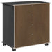Cabinet mobil Negru 63,5 x 39 x 65,5 cm Lemn de pin masiv - WALTI WALTI