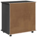 Cabinet mobil Gri 63,5 x 39 x 65,5 cm Lemn de pin masiv - WALTI WALTI