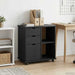 Cabinet mobil Negru 63,5 x 39 x 65,5 cm Lemn de pin masiv - WALTI WALTI