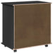 Cabinet mobil Negru 63,5 x 39 x 65,5 cm Lemn de pin masiv - WALTI WALTI