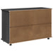 Cabinet mobil cu roata Gri 100 x 39 x 65,5 cm Lemn de pin masiv - WALTI WALTI