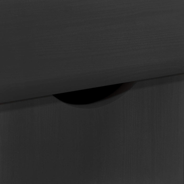 Cabinet mobil Negru 100 x 39 x 65,5 cm Lemn de pin masiv - WALTI WALTI