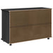 Cabinet mobil Negru 100 x 39 x 65,5 cm Lemn de pin masiv - WALTI WALTI
