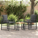 Set de Mobilier pentru Exterior 3 pcs Negru și Gri închis - WALTI WALTI