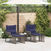 Set de Mobilier pentru Exterior 11 pcs Gri și albastru marin - WALTI WALTI