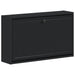 Dulap pentru pantofi montat pe perete EDE 71 x 17 x 43 cm Negru - WALTI WALTI