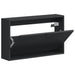 Dulap pentru pantofi montat pe perete ALKMAAR 71 x 17 x 43 cm - WALTI WALTI