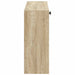 Dulap pentru pantofi montat pe perete ALKMAAR 71 x 17 x 43 cm - WALTI WALTI