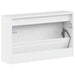 Dulap pentru pantofi montat pe perete ALKMAAR 71 x 17 x 43 cm - WALTI WALTI