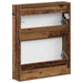 Dulap pentru pantofi montat pe perete ALKMAAR 71 x 17 x 86 cm - WALTI WALTI