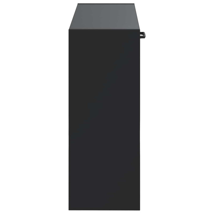 Dulap pentru pantofi montat pe perete HAARLEM 71 x 17 x 43 cm WALTI