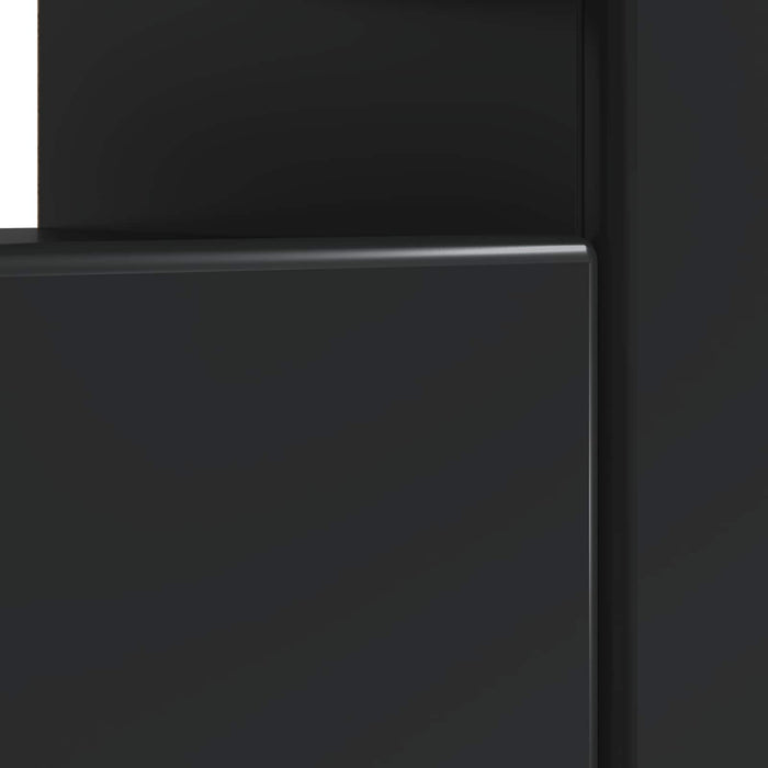 Cabinet TV cu LED Negru Lemn prelucrat WALTI