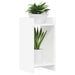 Suport pentru plante cu raft Alb 30 x 30 x 60 cm Lemn prelucrat - WALTI WALTI