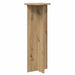Suport pentru plante 2 pcs Stejar Artizanal Ø40 x 100 cm - WALTI WALTI